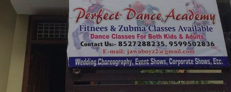 Perfect Dance & Music Academy 